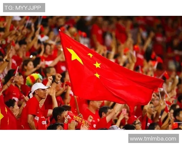 南京足球队的崛起与发展探秘揭示其背后的力量与潜力