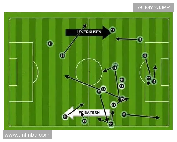 赛后分析：北京羽毛球队与深圳羽毛球队灵活性对比与战术探讨